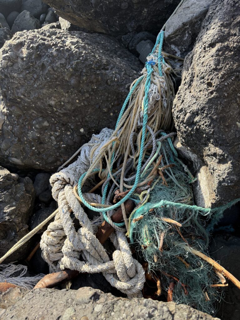a blue rope tied to rocks (MyCoast AI)