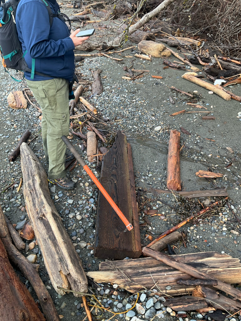 a man standing on a log (MyCoast AI)
