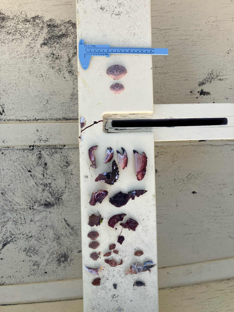 a knife and a box (MyCoast AI)