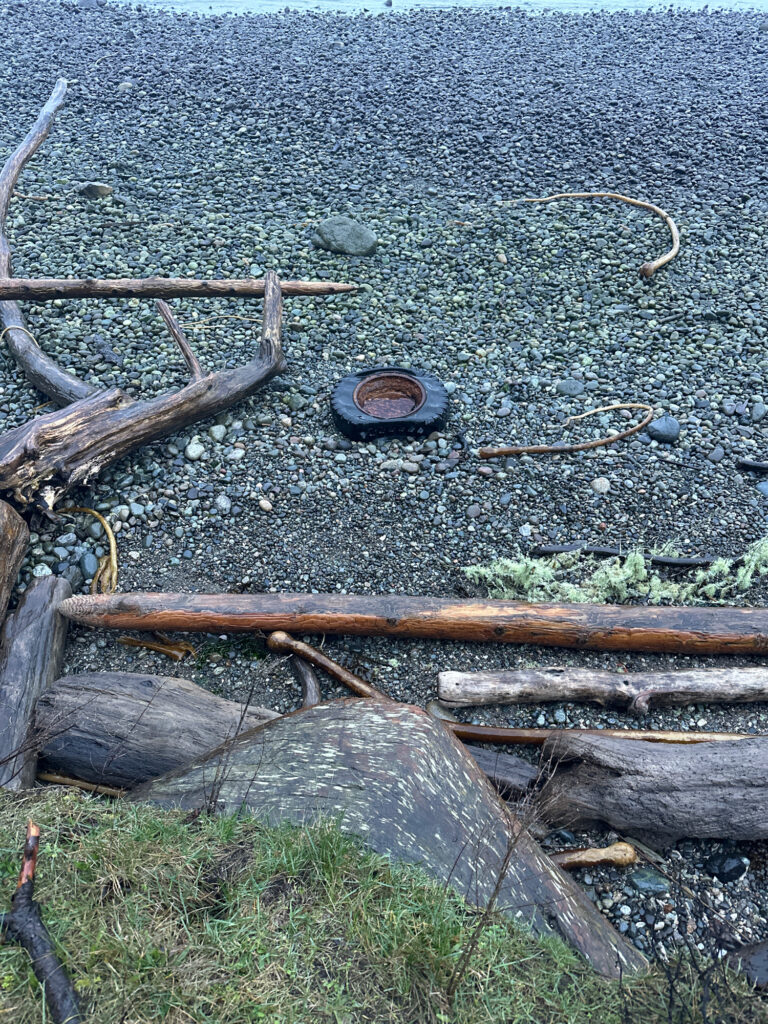 a group of logs on the ground (MyCoast AI)