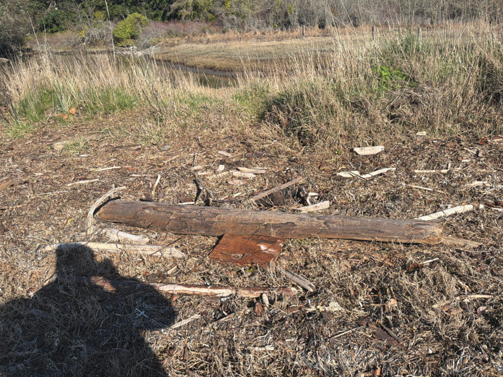 a pile of wood in a field (MyCoast AI)