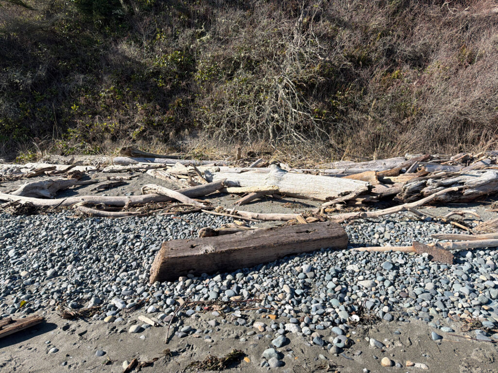 a pile of wood on a rocky beach (MyCoast AI)