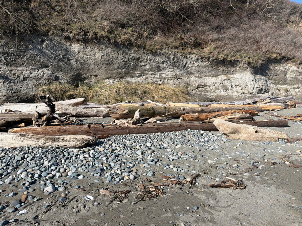 a rocky area with a river running through it (MyCoast AI)