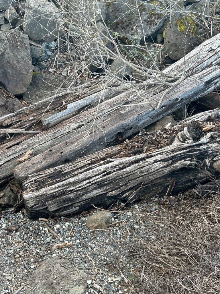 a group of logs (MyCoast AI)