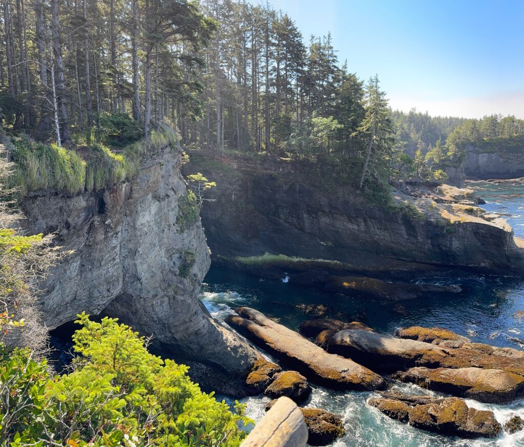 a river with rocks and trees (MyCoast AI)