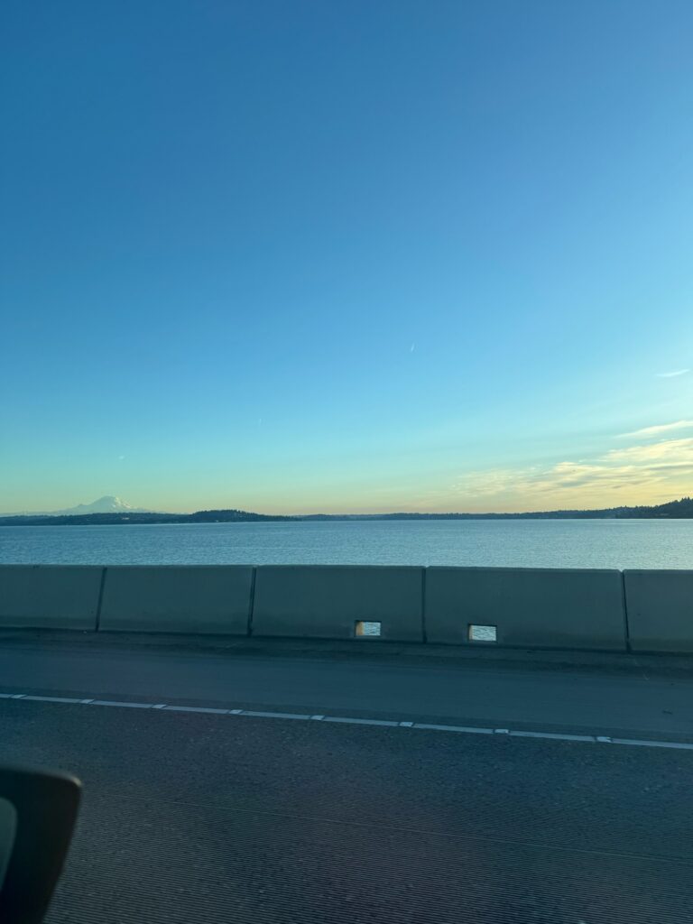 a road next to a body of water (MyCoast AI)