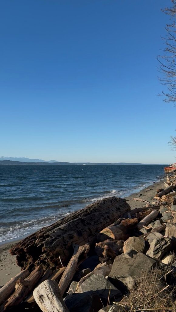 a rocky beach with a body of water in the background (MyCoast AI)
