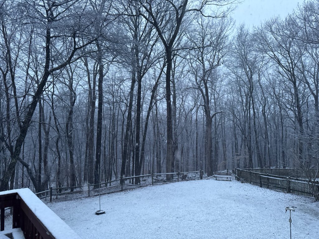 a snowy yard with trees (MyCoast AI)