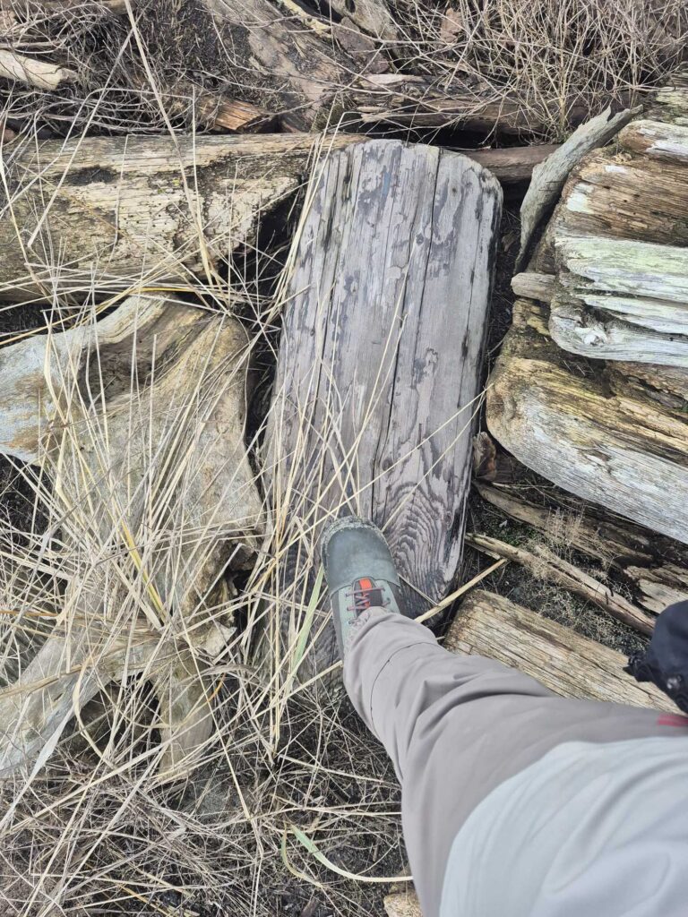a person's feet on a tree stump (MyCoast AI)