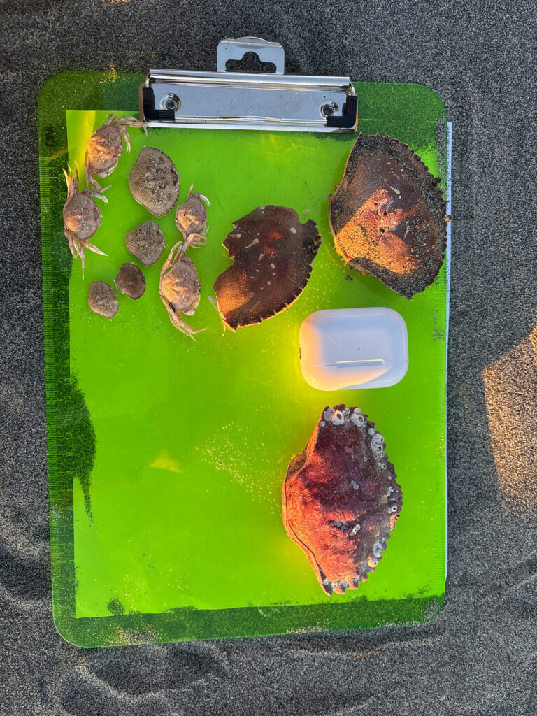 a green rectangular object with objects on it (MyCoast AI)
