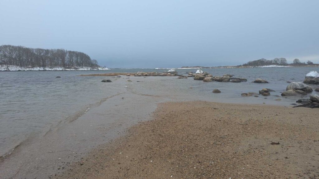 a beach with rocks and trees (MyCoast AI)