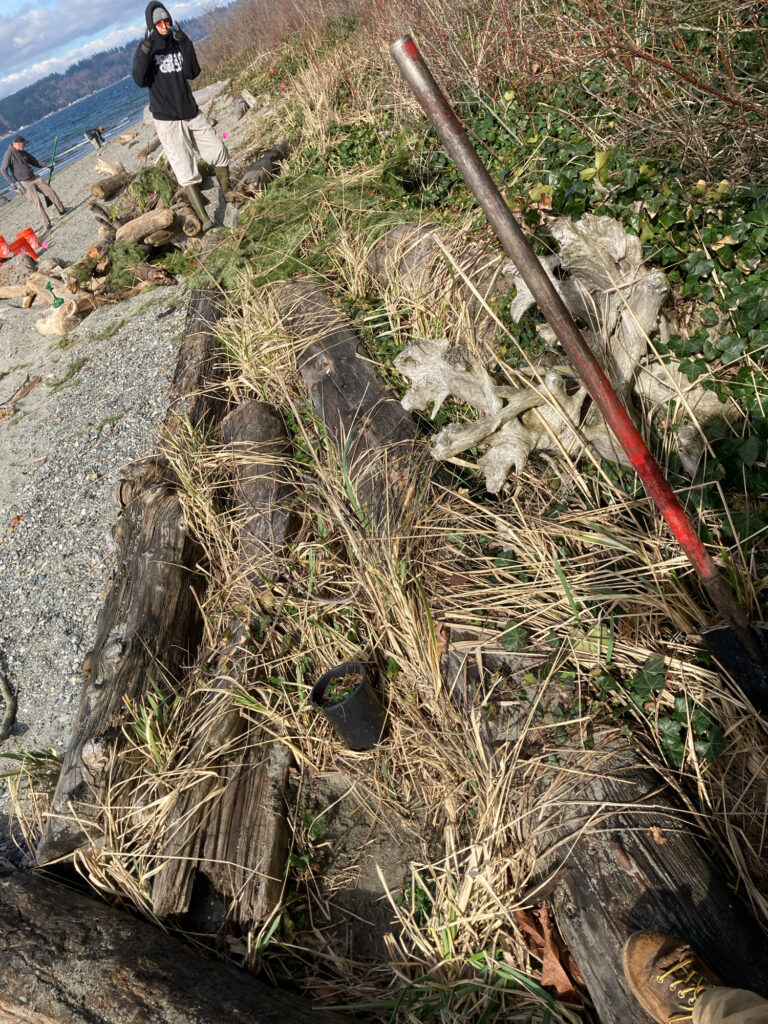 a person standing next to a pile of sticks and branches (MyCoast AI)