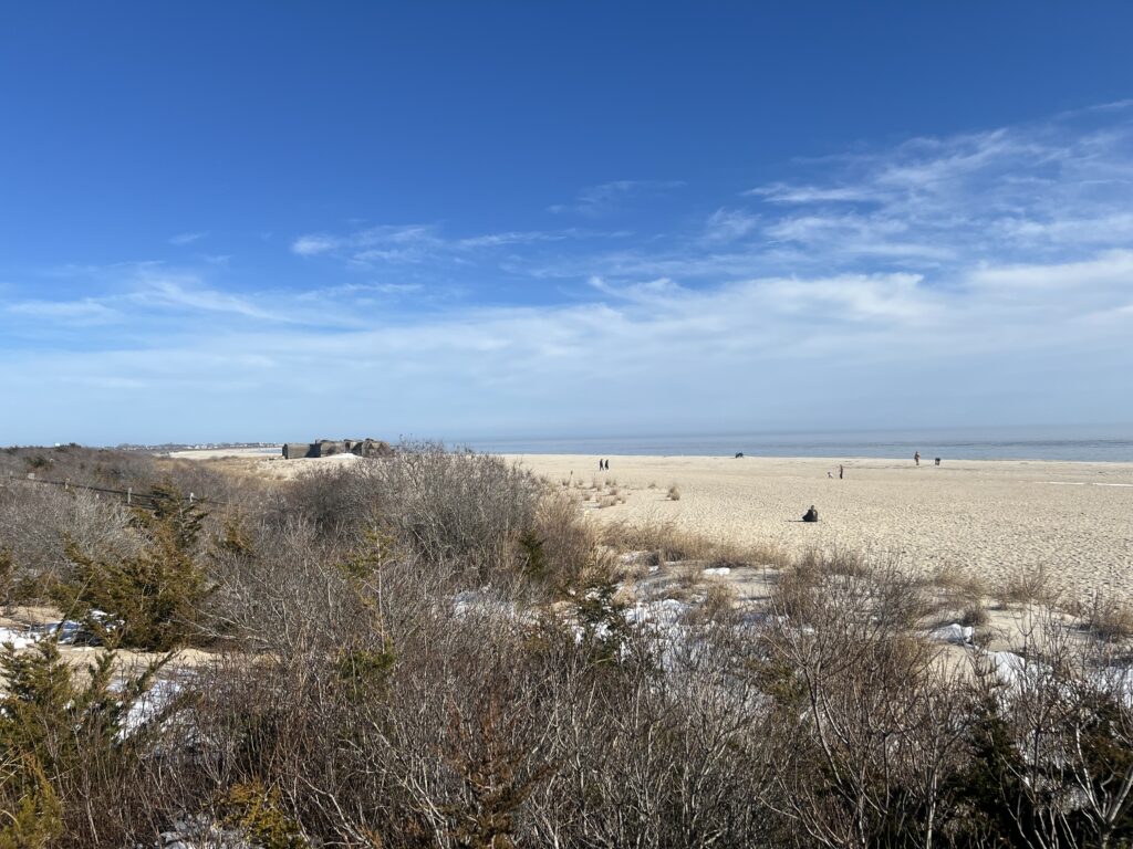 a field of dry grass (MyCoast AI)