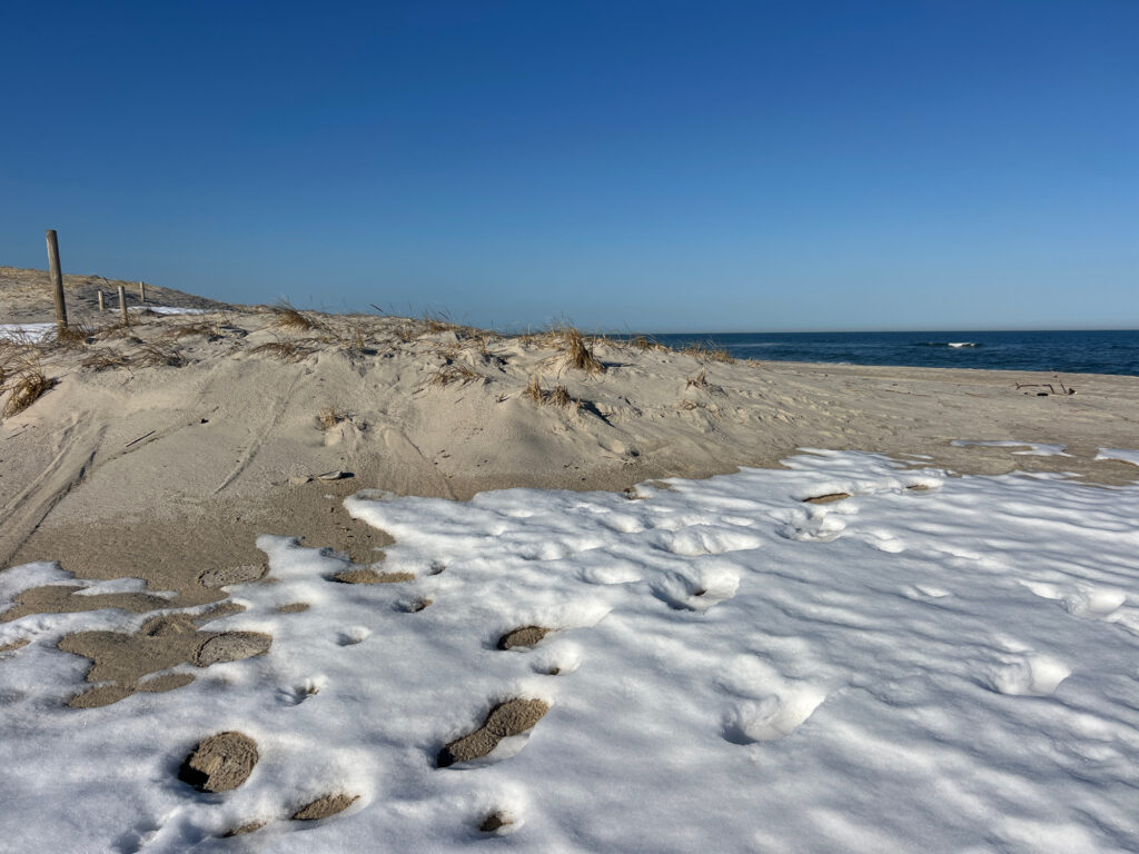 a sandy beach with rocks and water (MyCoast AI)