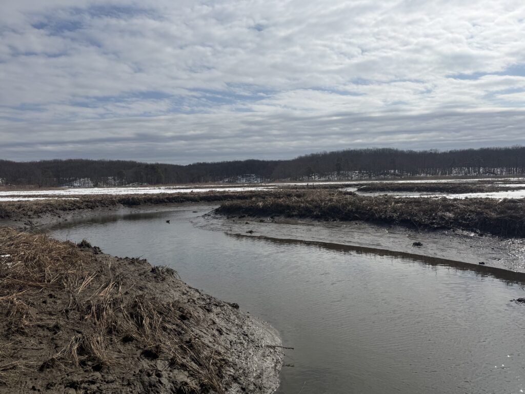 a river with a snowy bank (MyCoast AI)