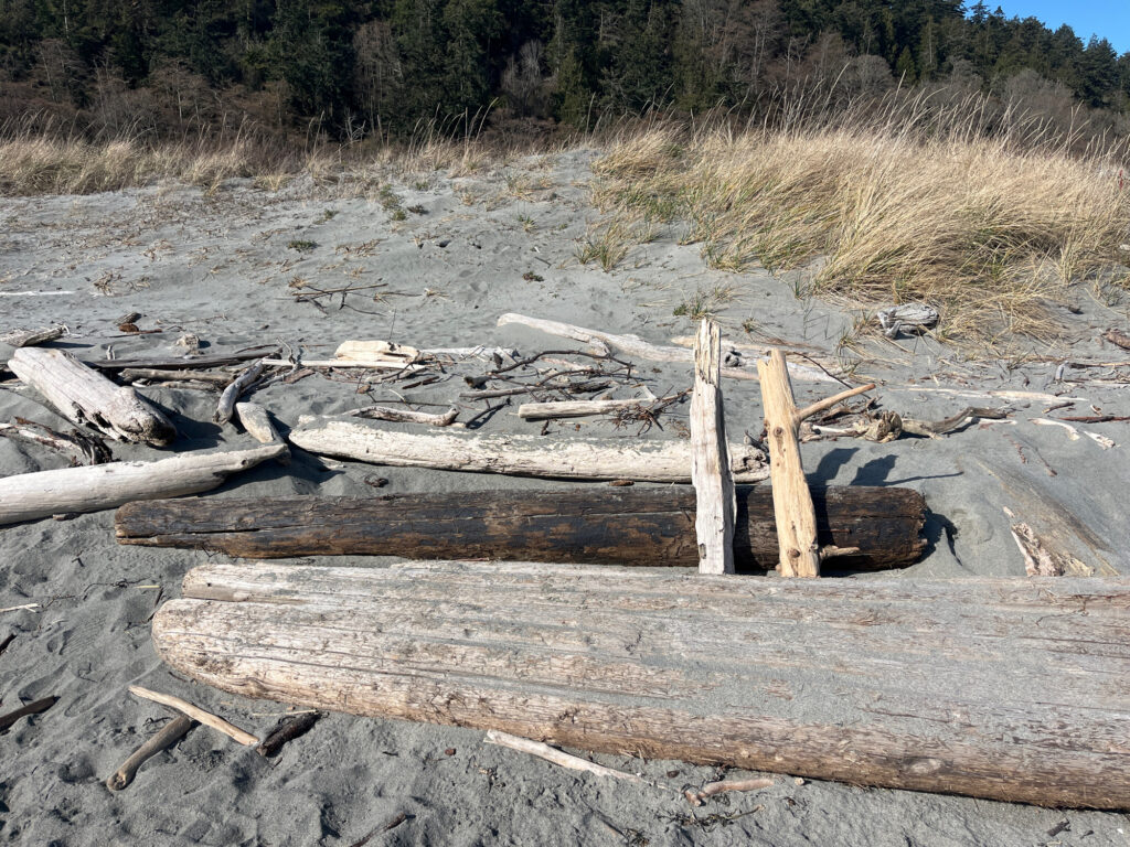 a pile of wood in a field (MyCoast AI)