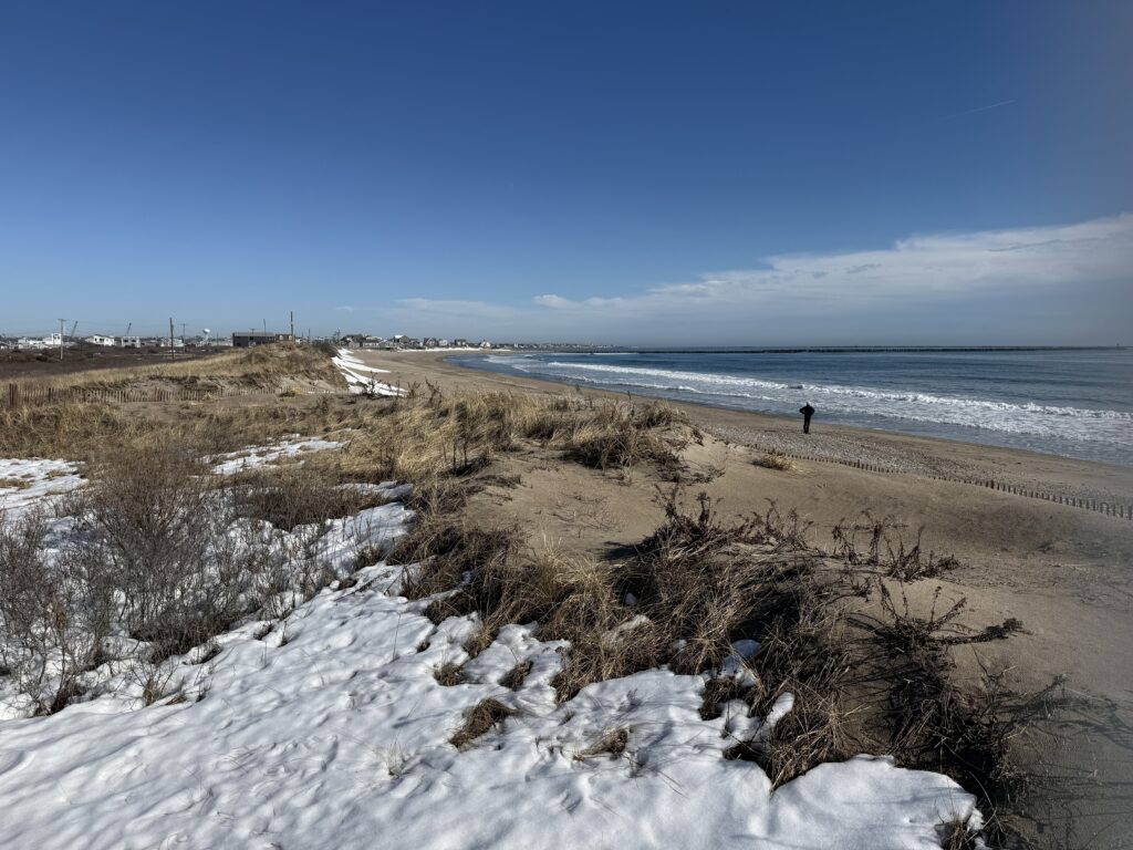 a person walking on a beach (MyCoast AI)