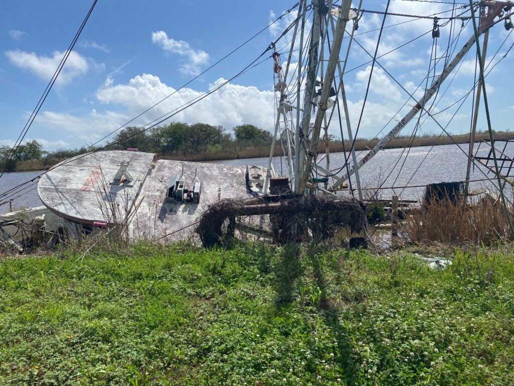 a large metal structure with plants around it (MyCoast AI)