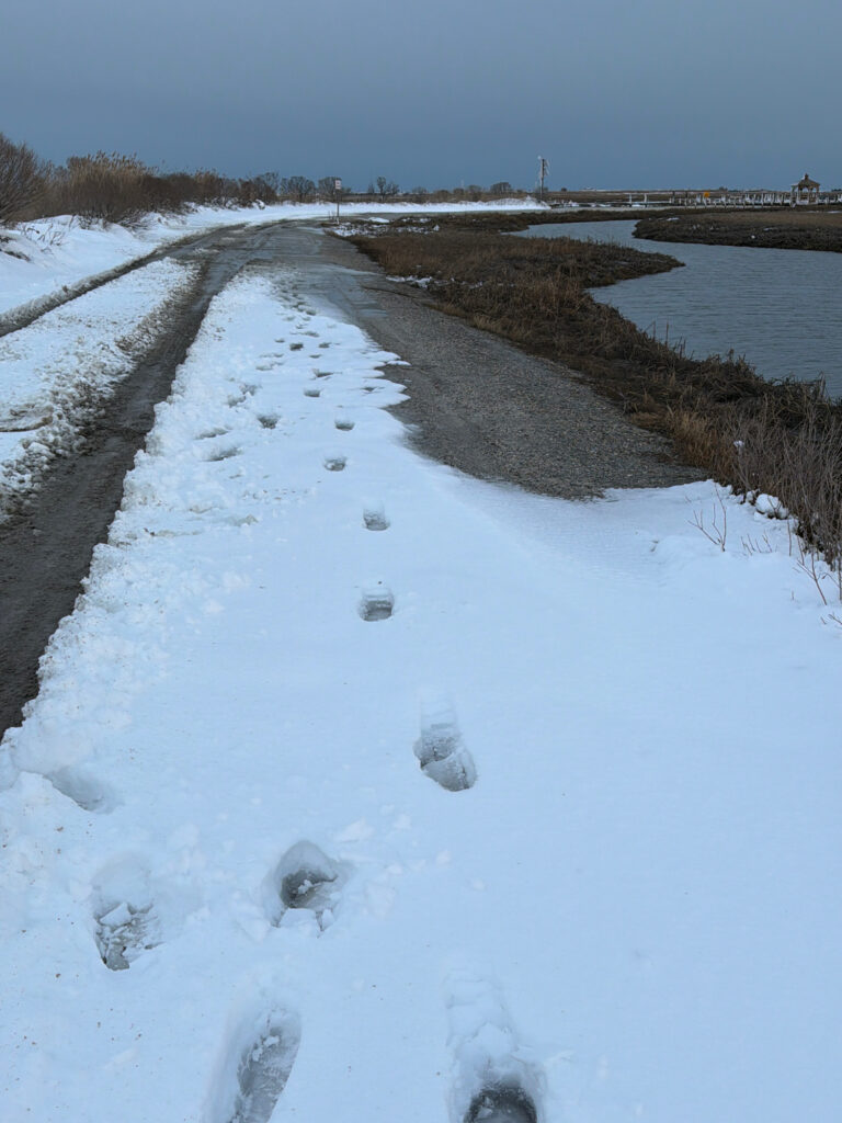 a snowy road with a stream (MyCoast AI)