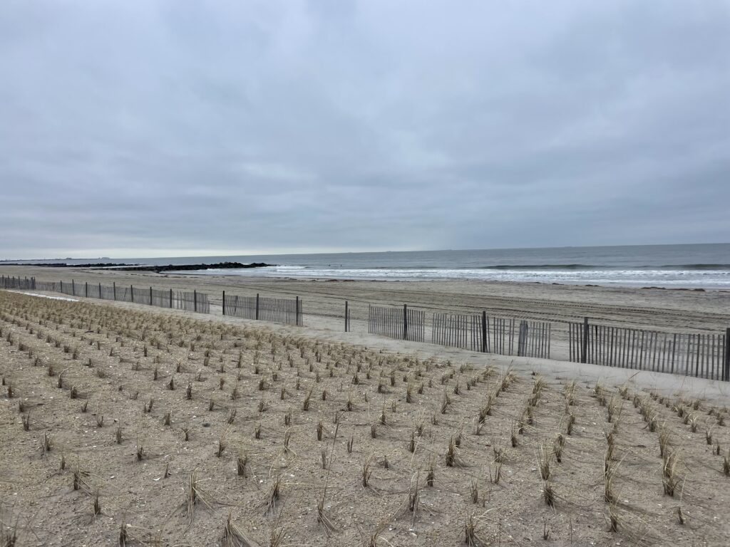 a beach with sand and water (MyCoast AI)