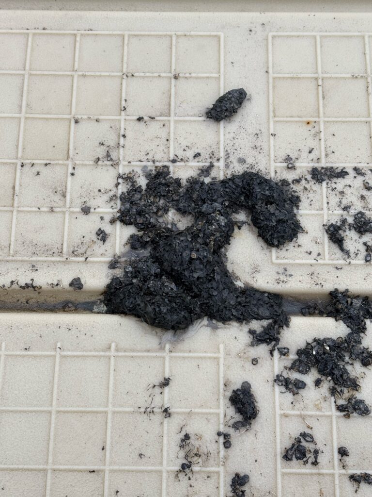 a black and white photo of a rock on a white tiled surface (MyCoast AI)