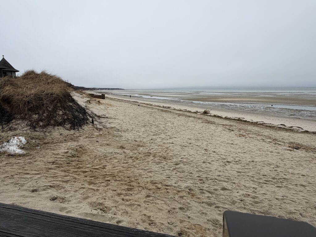 a sandy beach with a building on the side (MyCoast AI)