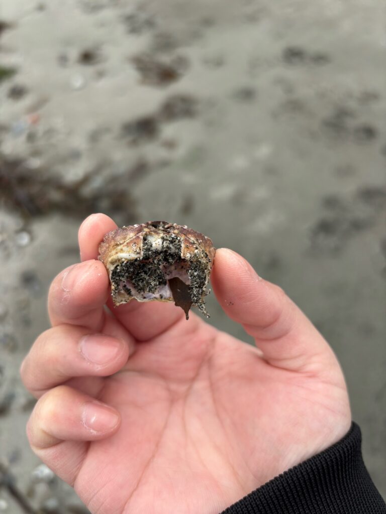 a person holds a donut (MyCoast AI)