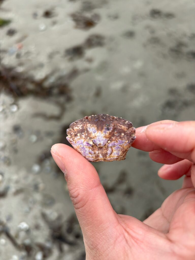 a person holding a donut (MyCoast AI)