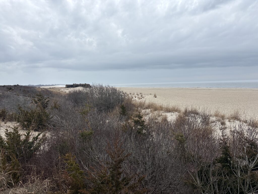 a field of dry grass (MyCoast AI)