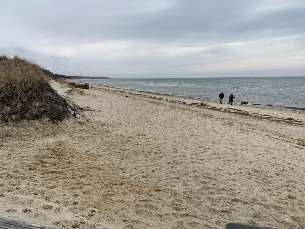 people walking on a beach (MyCoast AI)