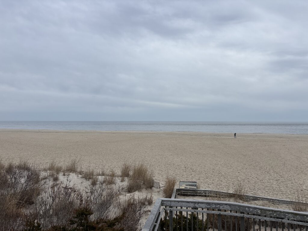 a person walking on a beach (MyCoast AI)