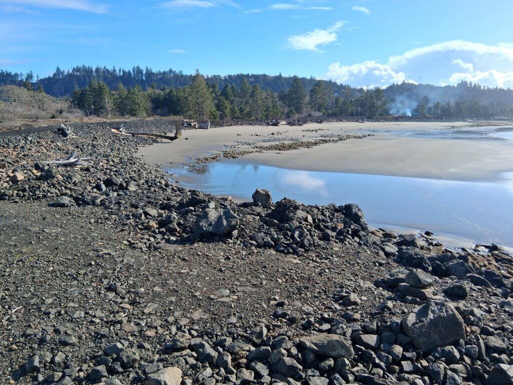 a rocky beach with a body of water and trees in the background (MyCoast AI)