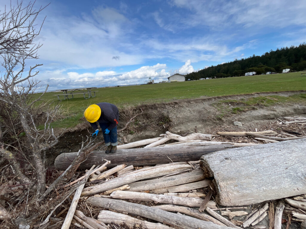 a person in a yellow hard hat working on a pile of wood (MyCoast AI)