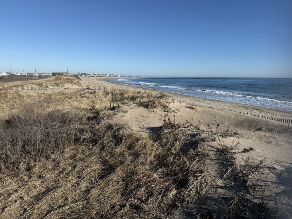 a sandy beach with water and blue sky (MyCoast AI)