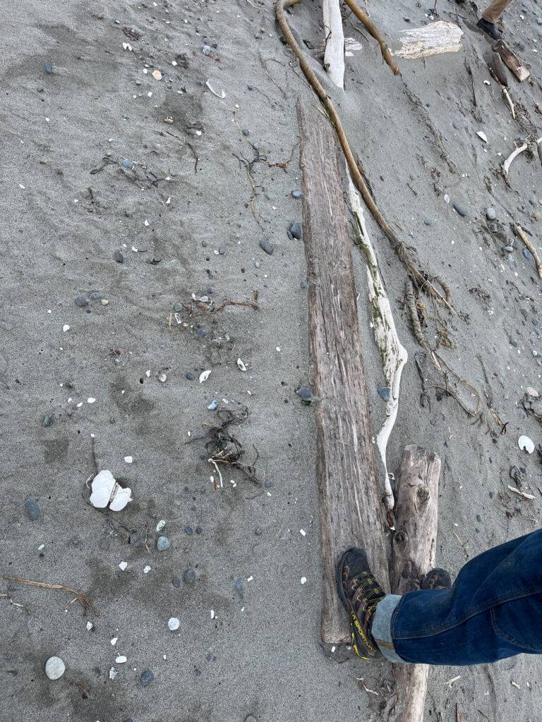 a person's feet on a rock (MyCoast AI)