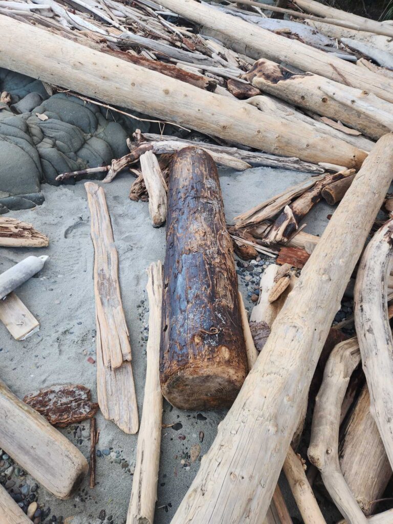 a pile of wood (MyCoast AI)