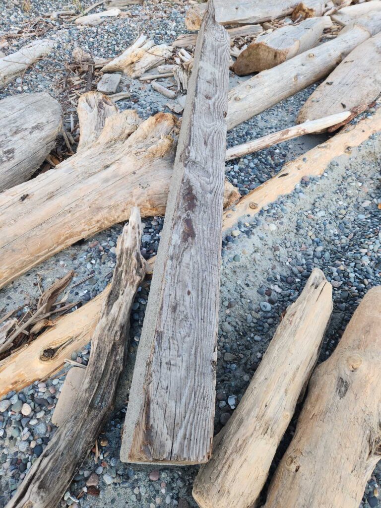a group of wood logs (MyCoast AI)