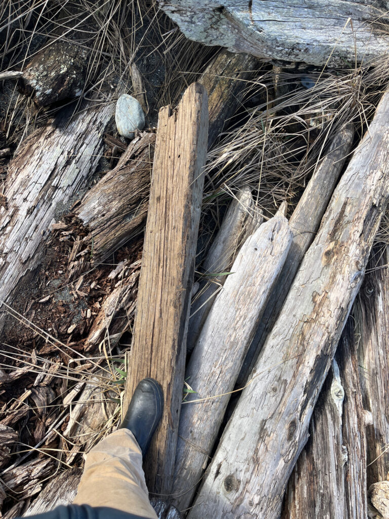 a person's feet on a log (MyCoast AI)