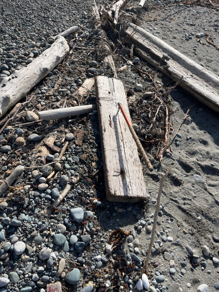 a group of wooden planks on the ground (MyCoast AI)