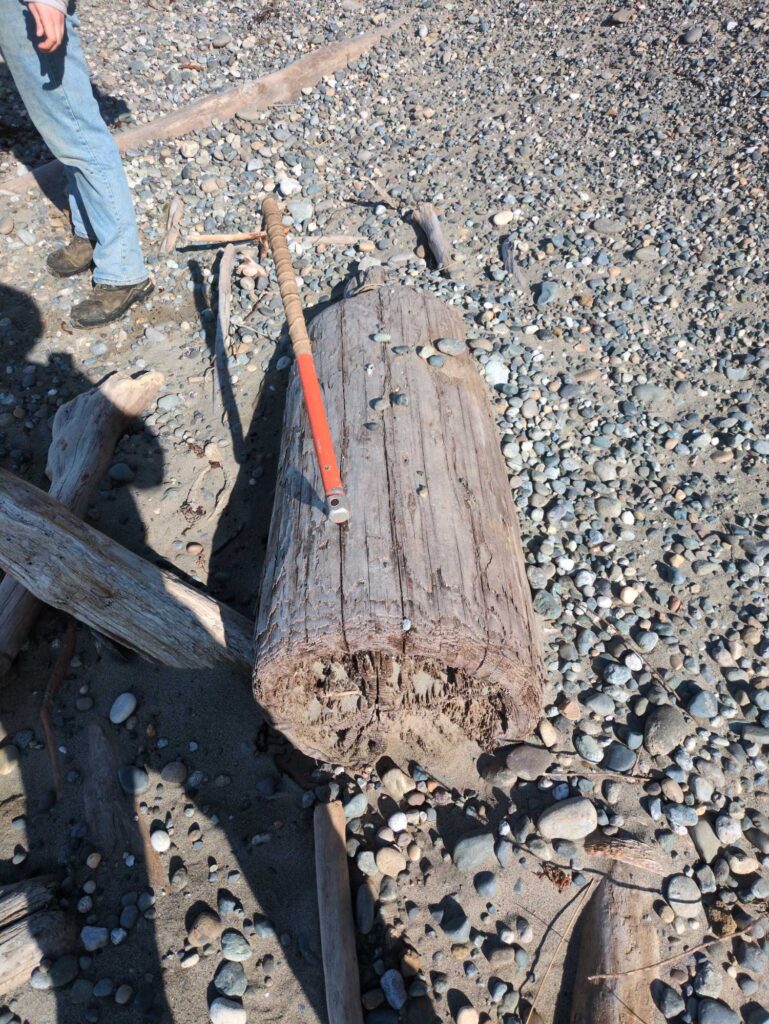 a wood cutting board on a rocky ground (MyCoast AI)