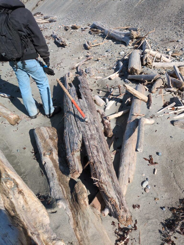 a man chopping wood (MyCoast AI)