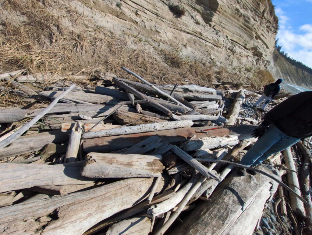 a pile of wood (MyCoast AI)