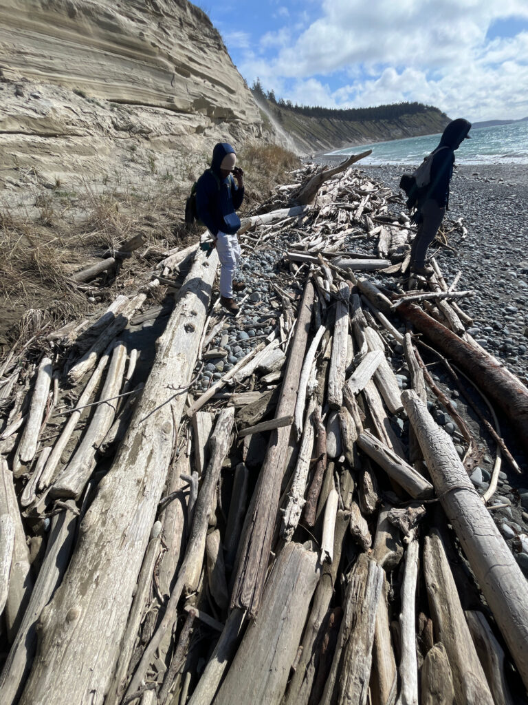 a couple of people standing on a rocky beach (MyCoast AI)