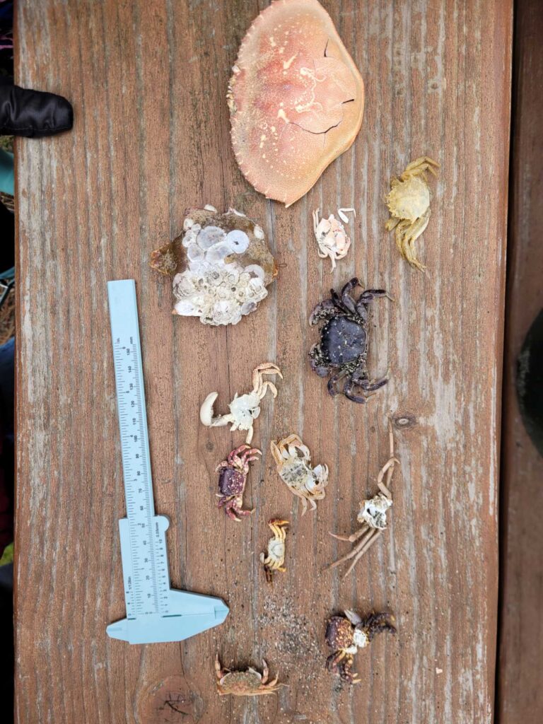 a group of objects on a table (MyCoast AI)
