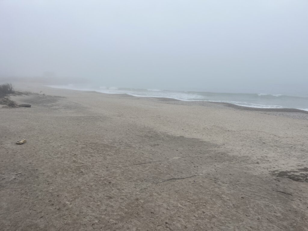a sandy beach with waves crashing (MyCoast AI)