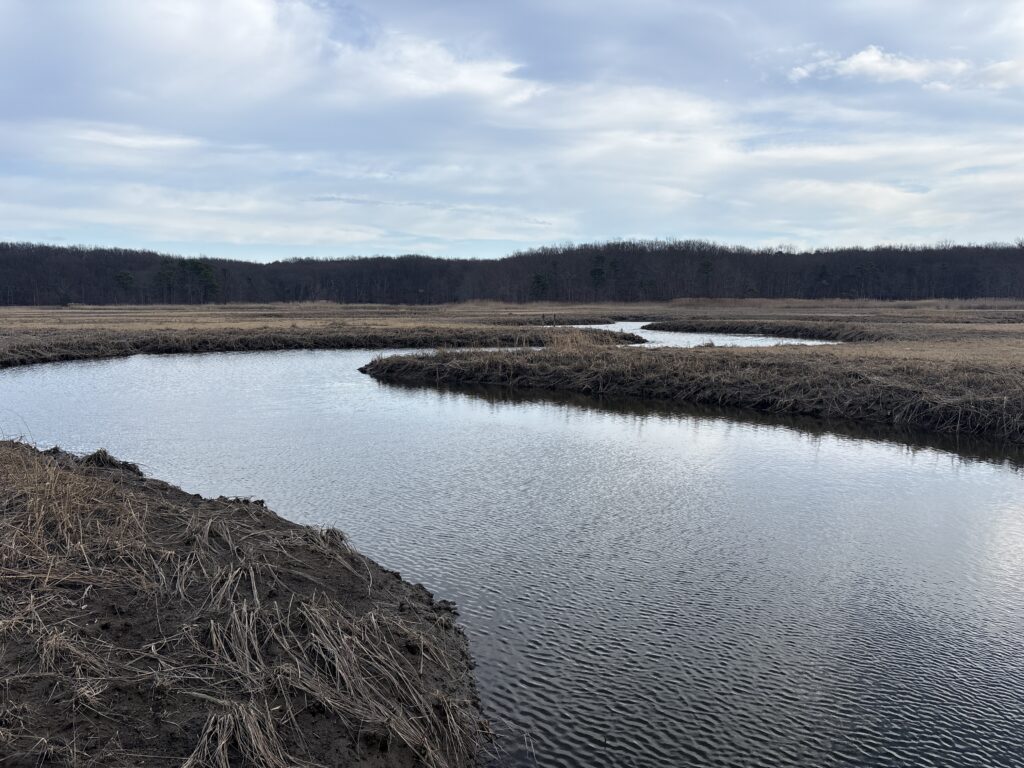 a body of water with grass and trees around it (MyCoast AI)