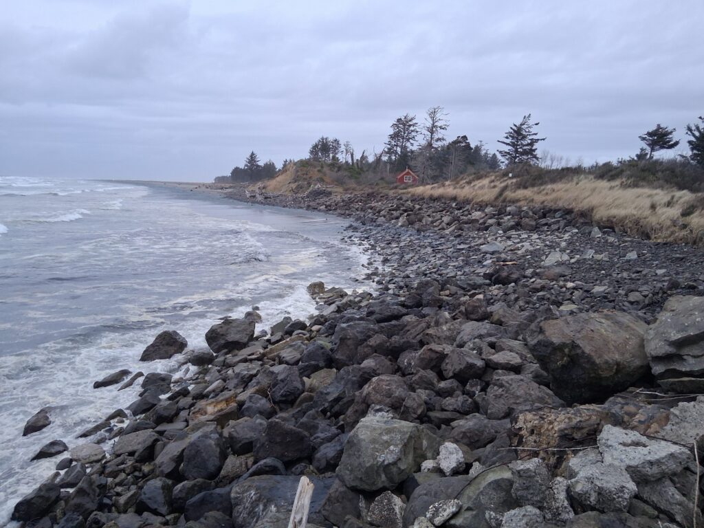 a rocky beach with trees and water (MyCoast AI)