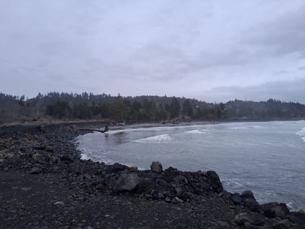 a rocky shore with a body of water and trees in the background (MyCoast AI)