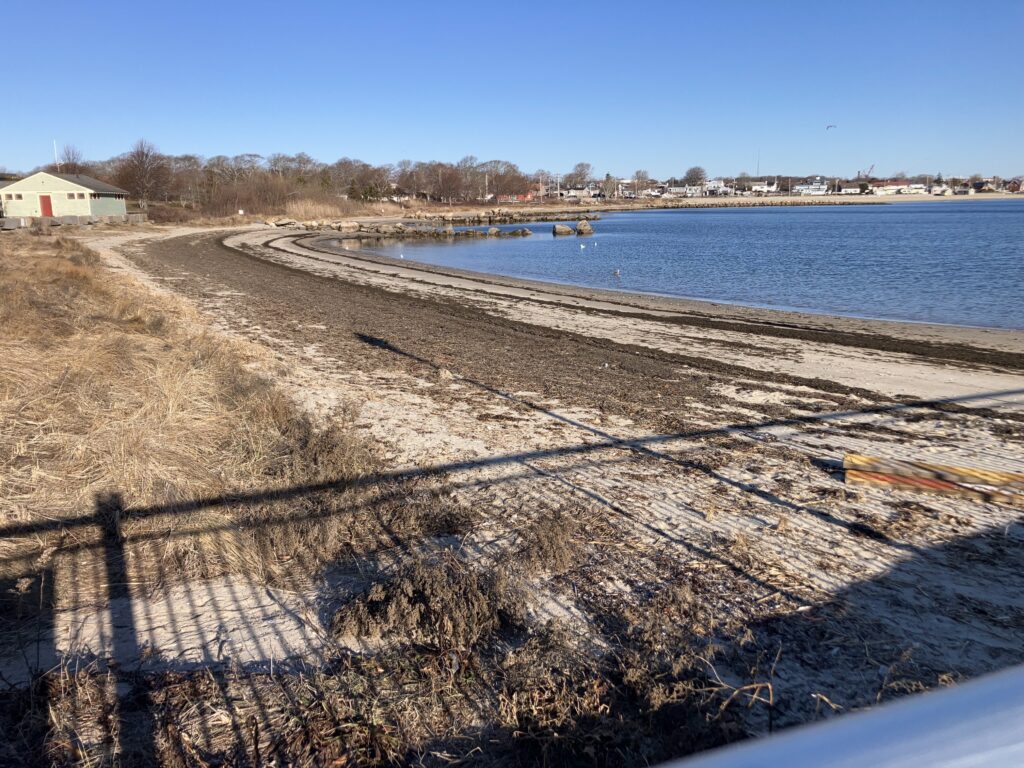 a large field with a body of water in the background (MyCoast AI)