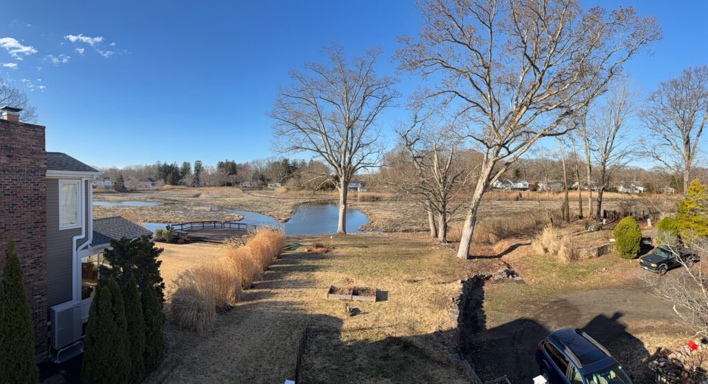a yard with a pond and trees (MyCoast AI)